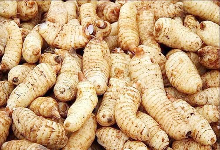 正旭空氣能熱泵烘干機(jī)天麻熱泵烘干機(jī)空氣能熱泵天麻烘干機(jī)項(xiàng)目案例實(shí)拍圖片 正旭空氣能熱泵烘干機(jī)天麻熱泵烘干機(jī)空氣能熱泵天麻烘干機(jī)項(xiàng)目案例實(shí)拍圖片