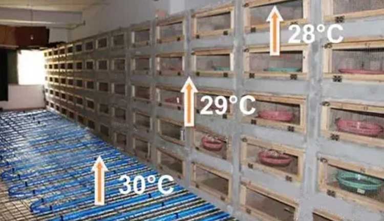 空氣能蛇養(yǎng)殖采暖機(jī)組空氣能熱泵采暖畜牧采暖空氣能養(yǎng)蛇采暖 空氣能蛇養(yǎng)殖采暖機(jī)組空氣能熱泵采暖畜牧采暖空氣能養(yǎng)蛇采暖